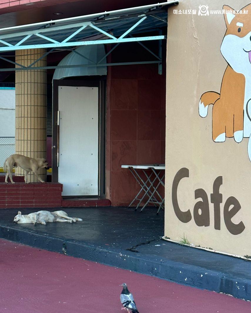 이아영 릴스 & 원픽미리보기240528/ 인별