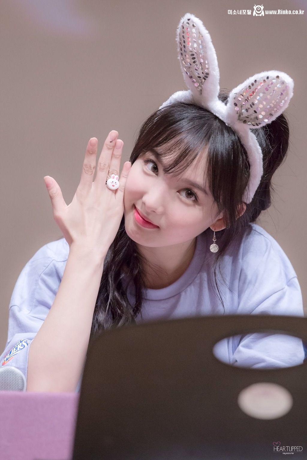 토끼 트와이스 나연