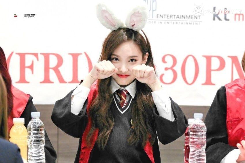 토끼 트와이스 나연