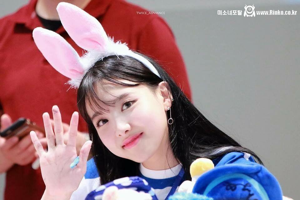 토끼 트와이스 나연
