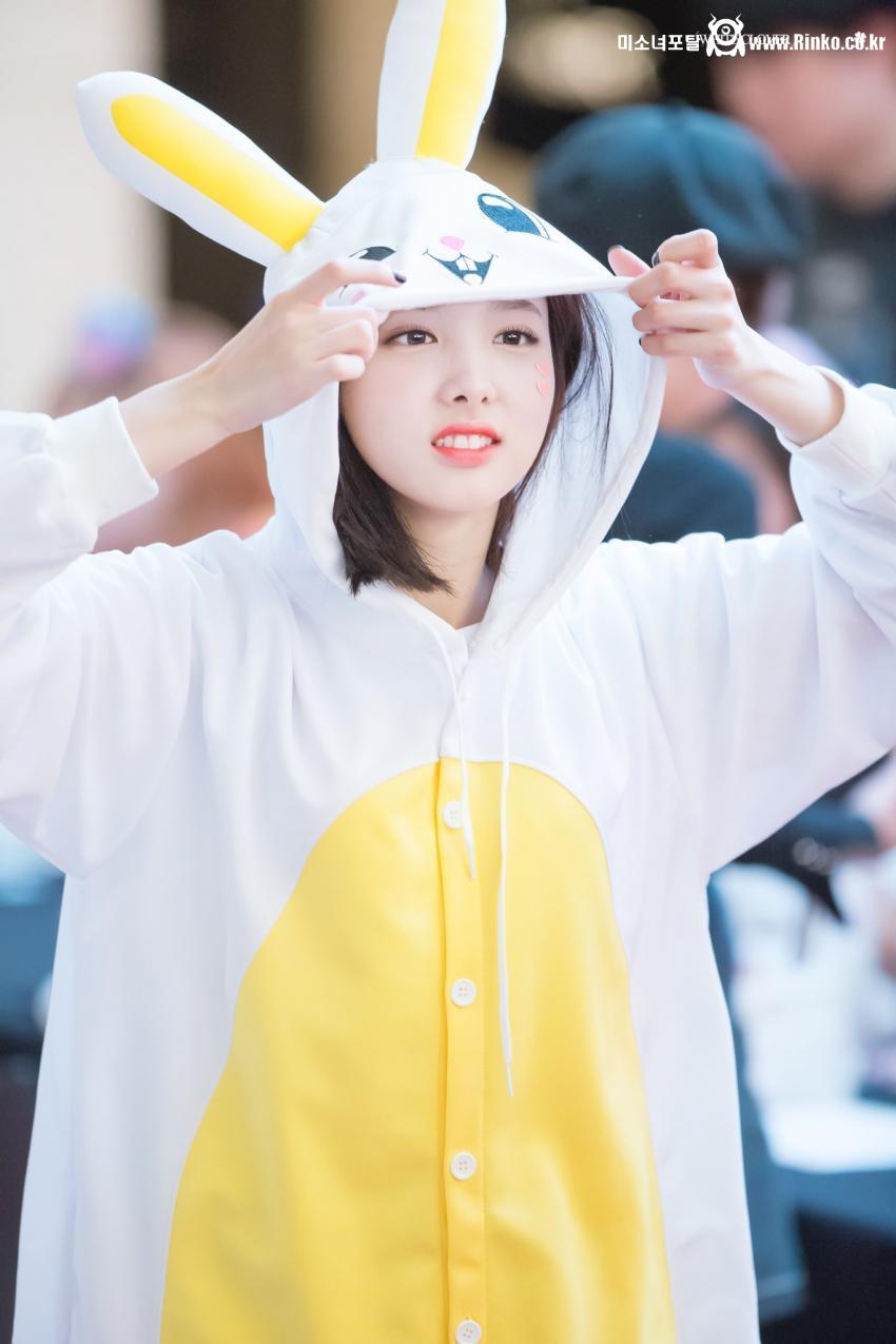 토끼 트와이스 나연