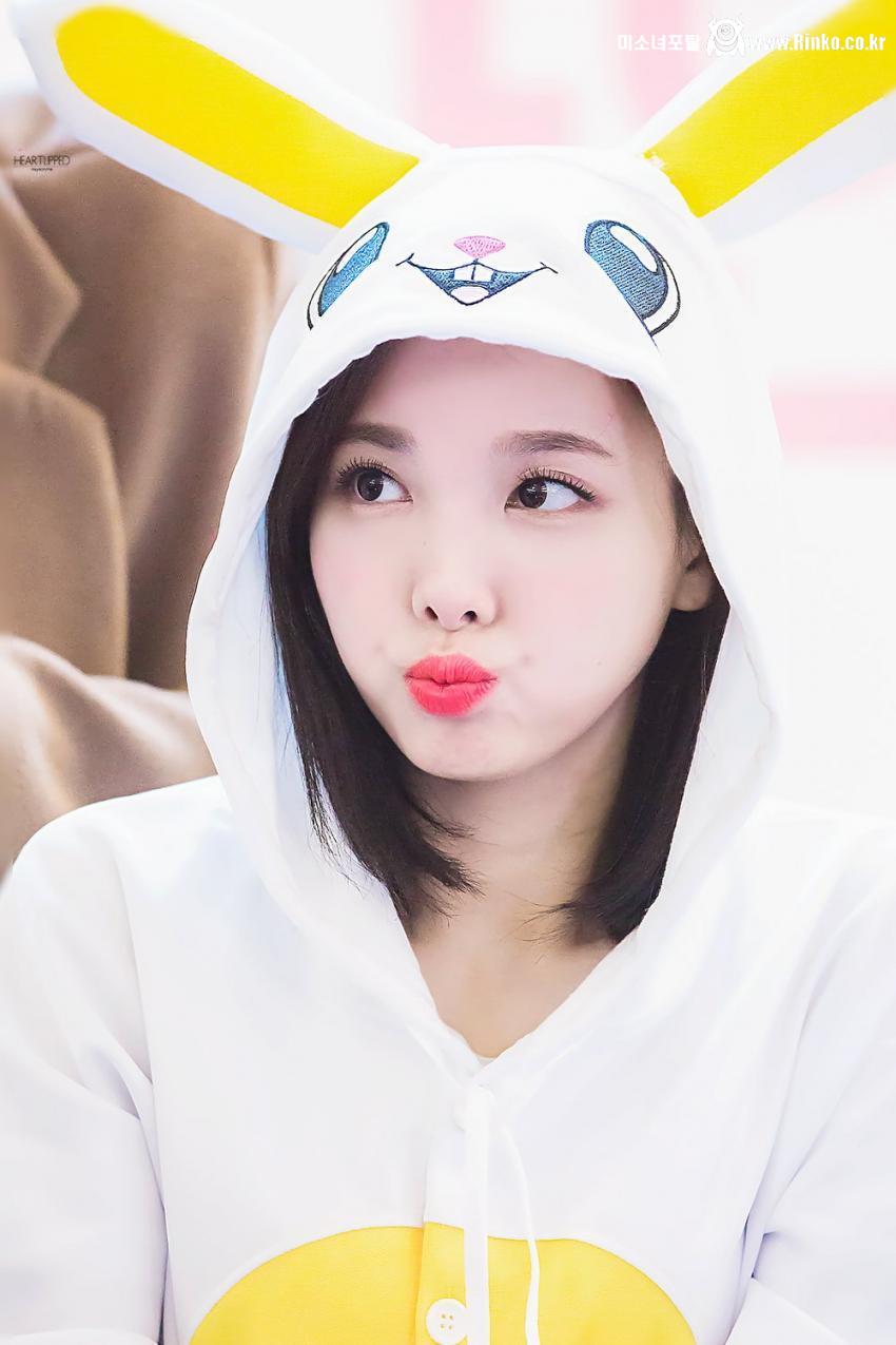 토끼 트와이스 나연