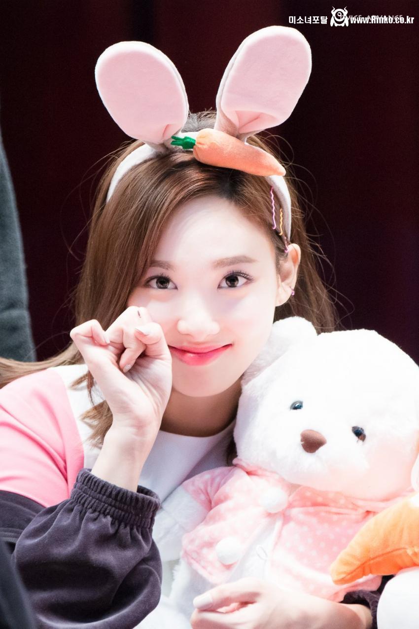 토끼 트와이스 나연