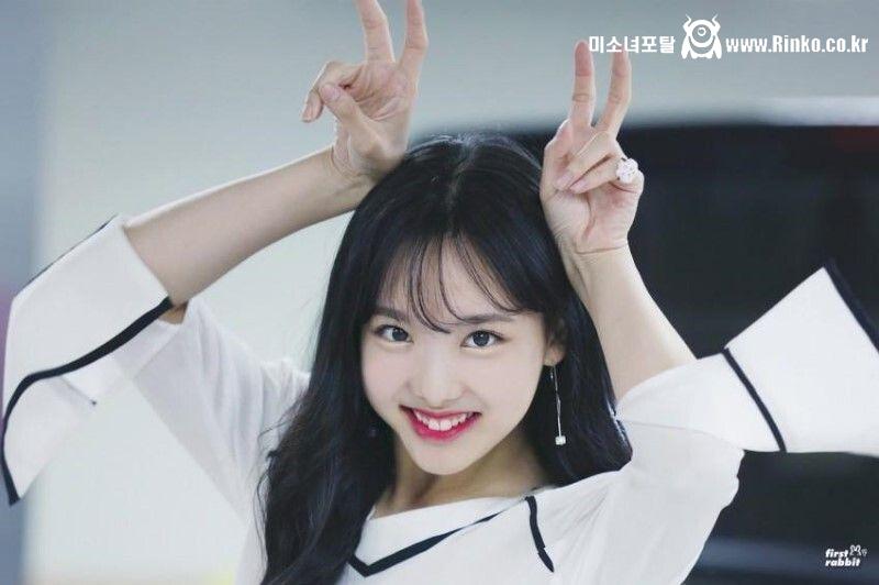 토끼 트와이스 나연