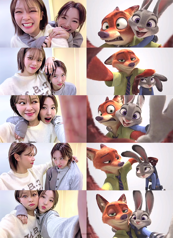 트와이스 정연&나연 주토피아 닉&주디