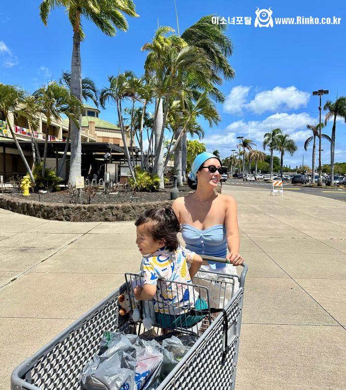 나비 하와이 여행 일상