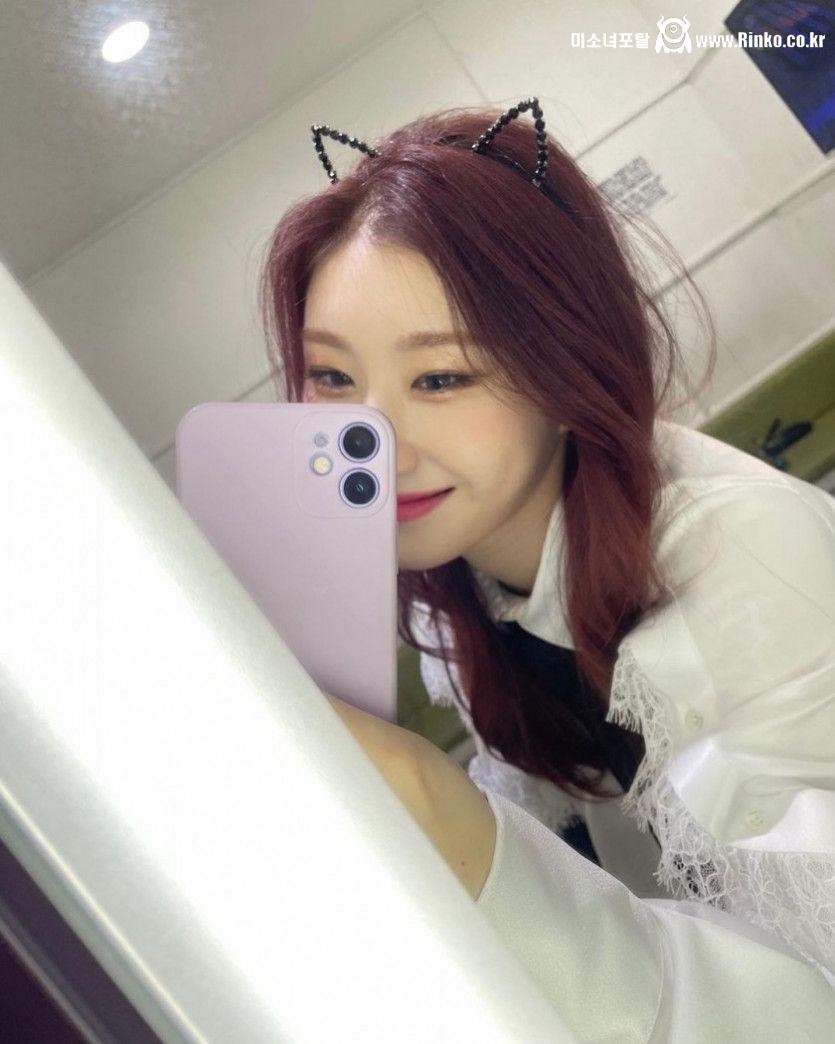 고양이 채령 셀카