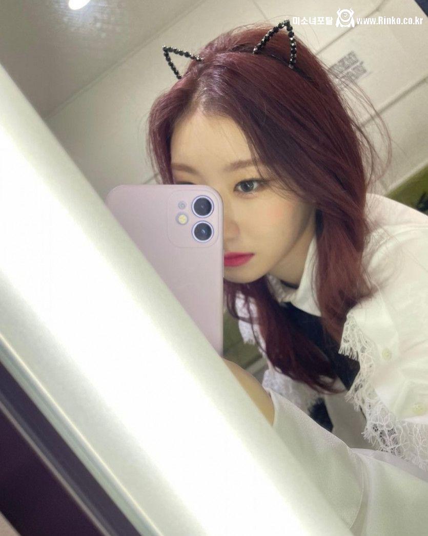 고양이 채령 셀카