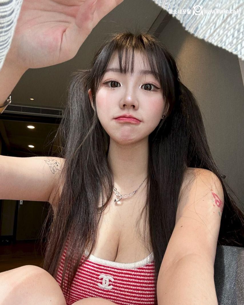 기무세딘 인스타