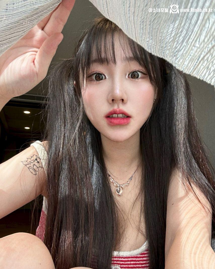 기무세딘 인스타