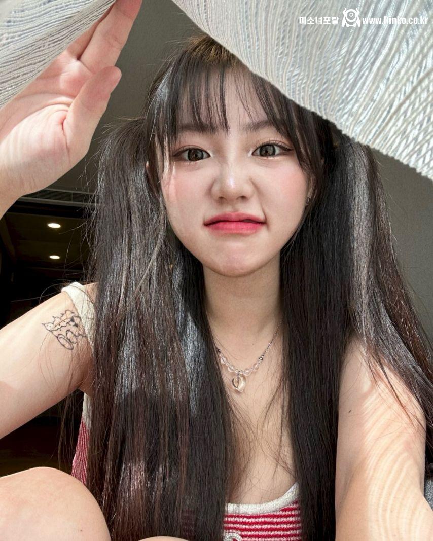 기무세딘 인스타