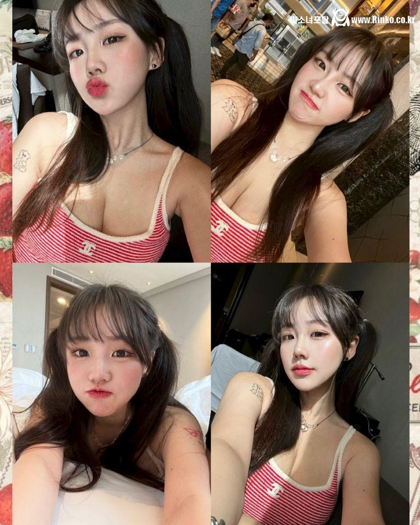 기무세딘 인스타