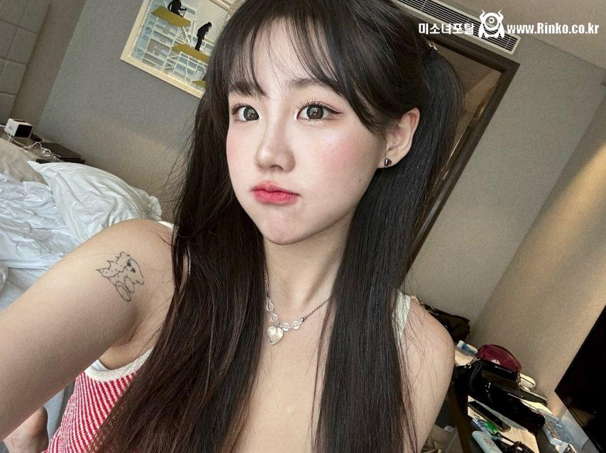 기무세딘 인스타