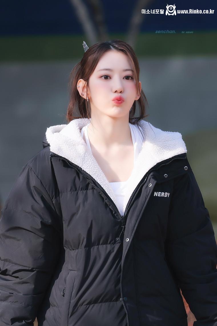 르세라핌 사쿠라