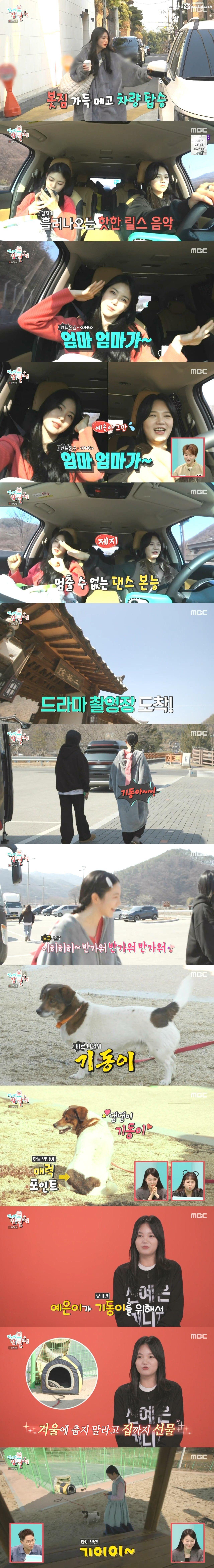 카메라만 있으면 텐션이 절제가 안된다는 신예은