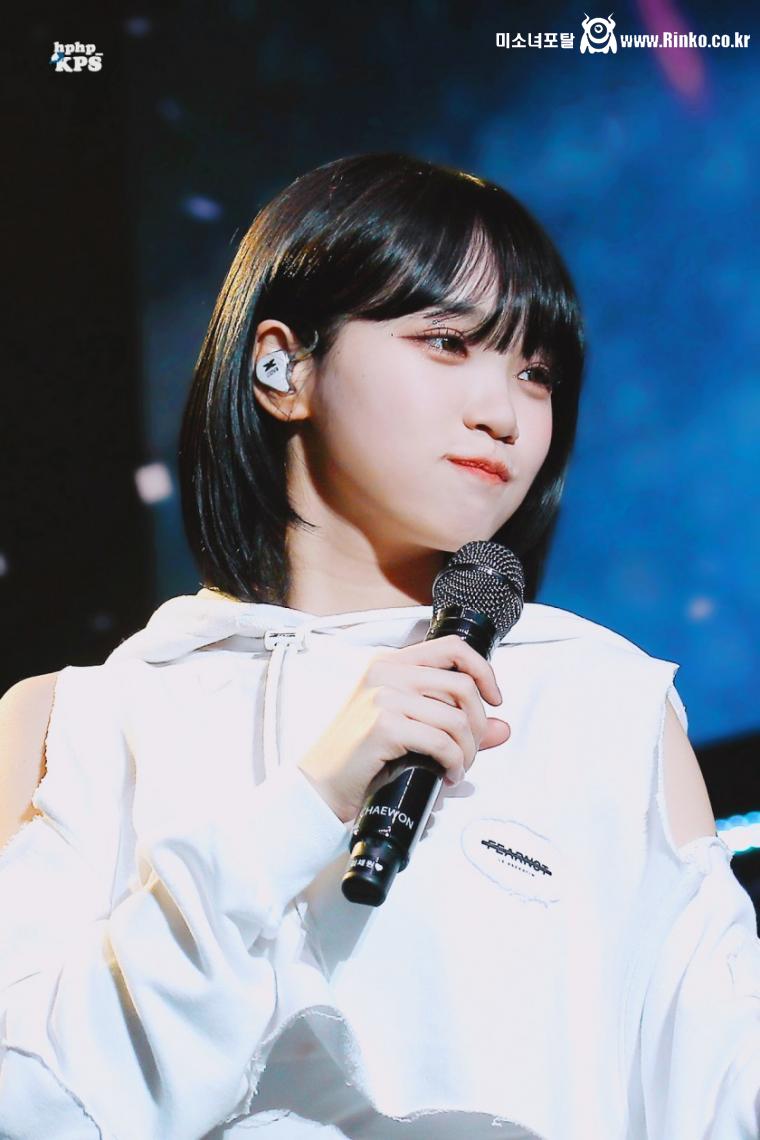 잔망 아기치타 르세라핌 김채원