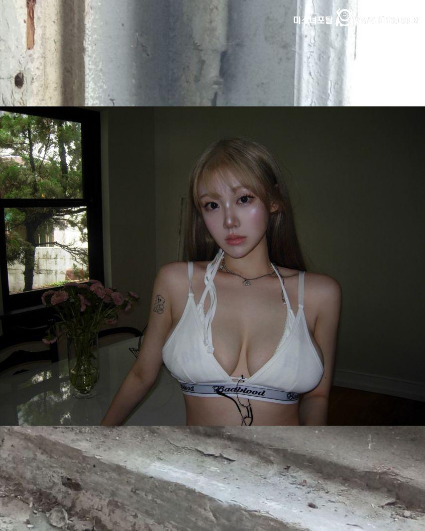 기무세딘 인스타