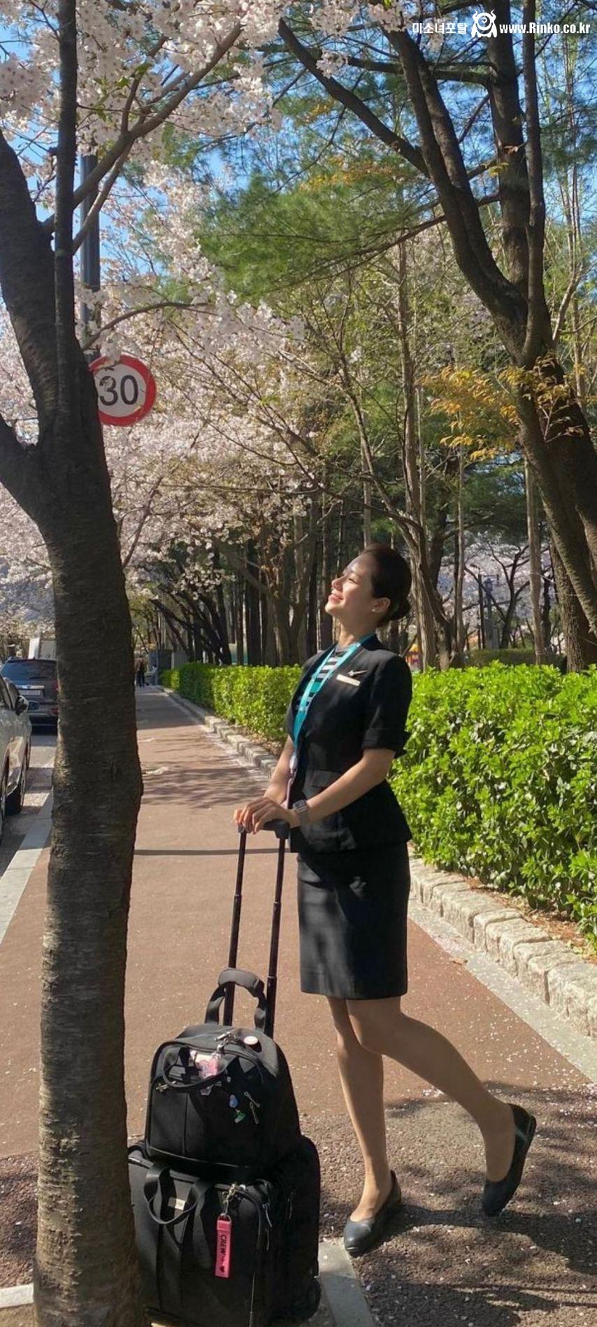 Joa you 승무원 일상