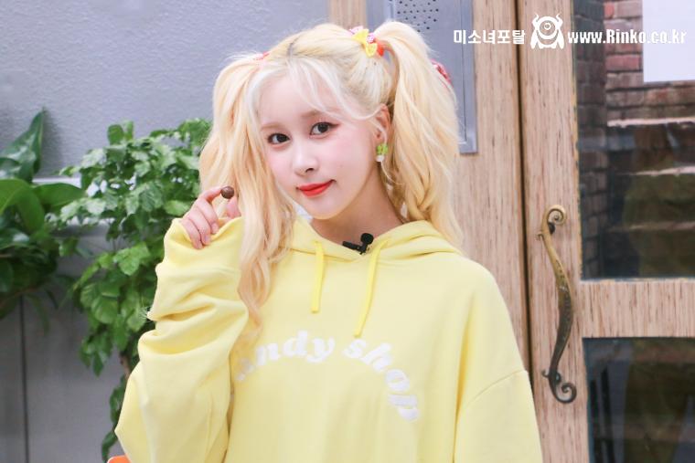 우주소녀 다영, 수빈