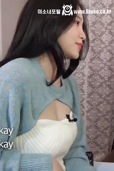 마이크만 보이는 레드벨벳 예리