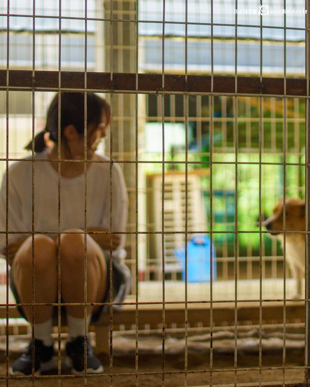 서동주 비키니 모노키니