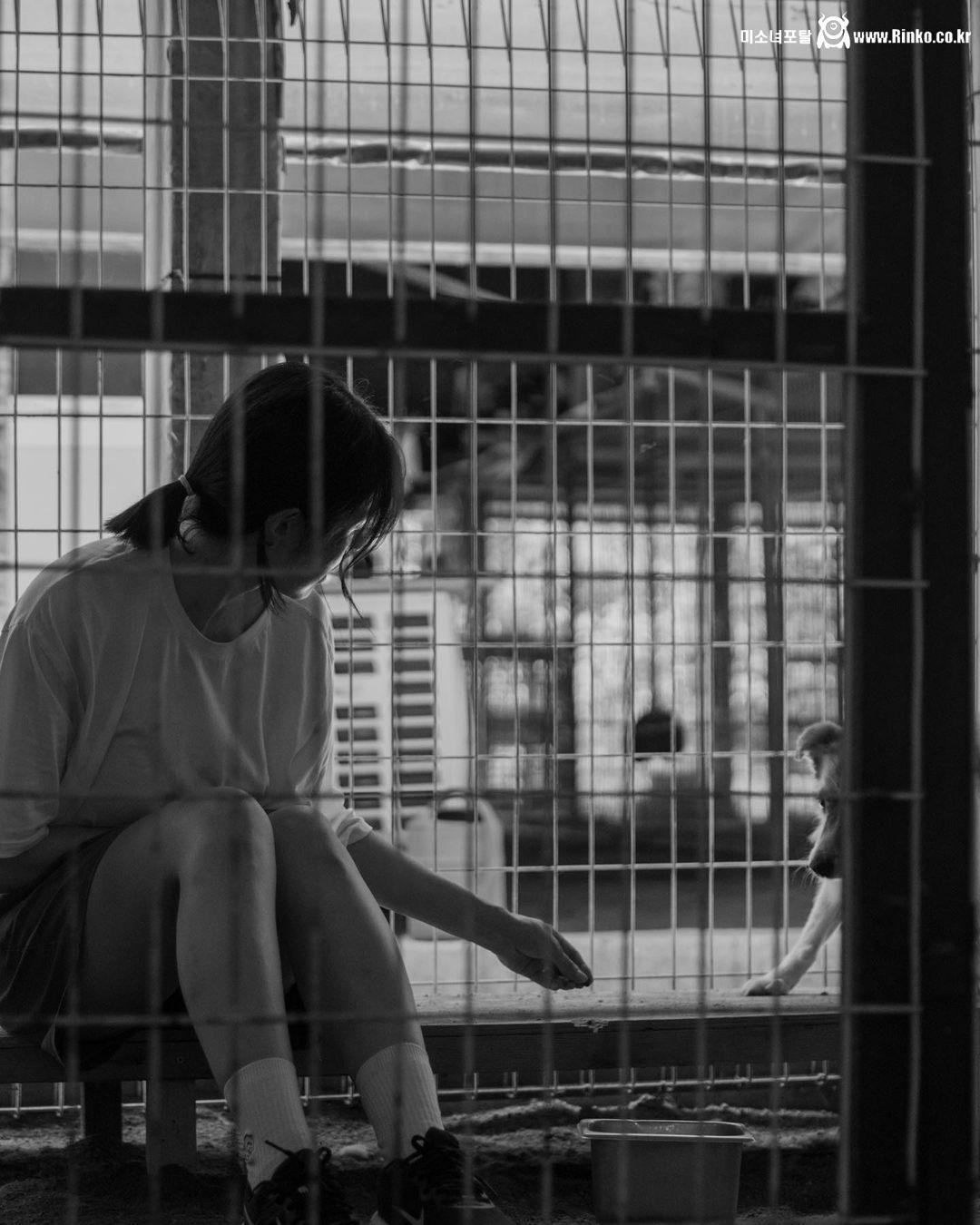 서동주 비키니 모노키니