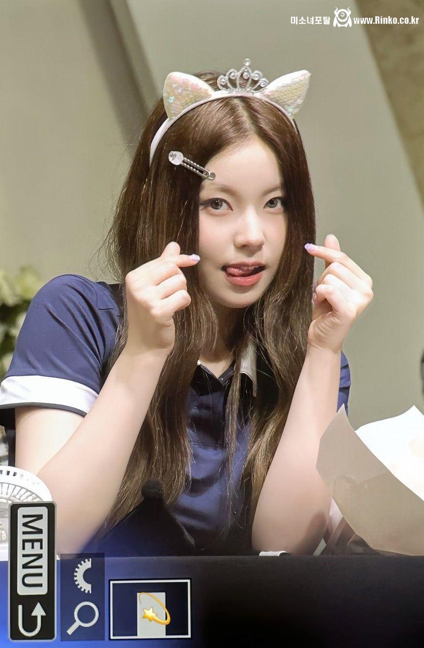 06즈 고양이상 엔믹스 규진 x 뉴진스 해린