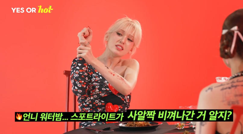 워터밤 진짜 나가보고 싶다는 전소미