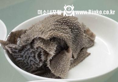 제니 맛도리 천엽겨_114652_1.jpg