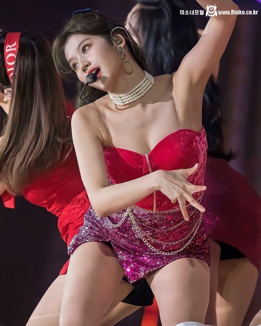 사나 모음_116019_1.jpg