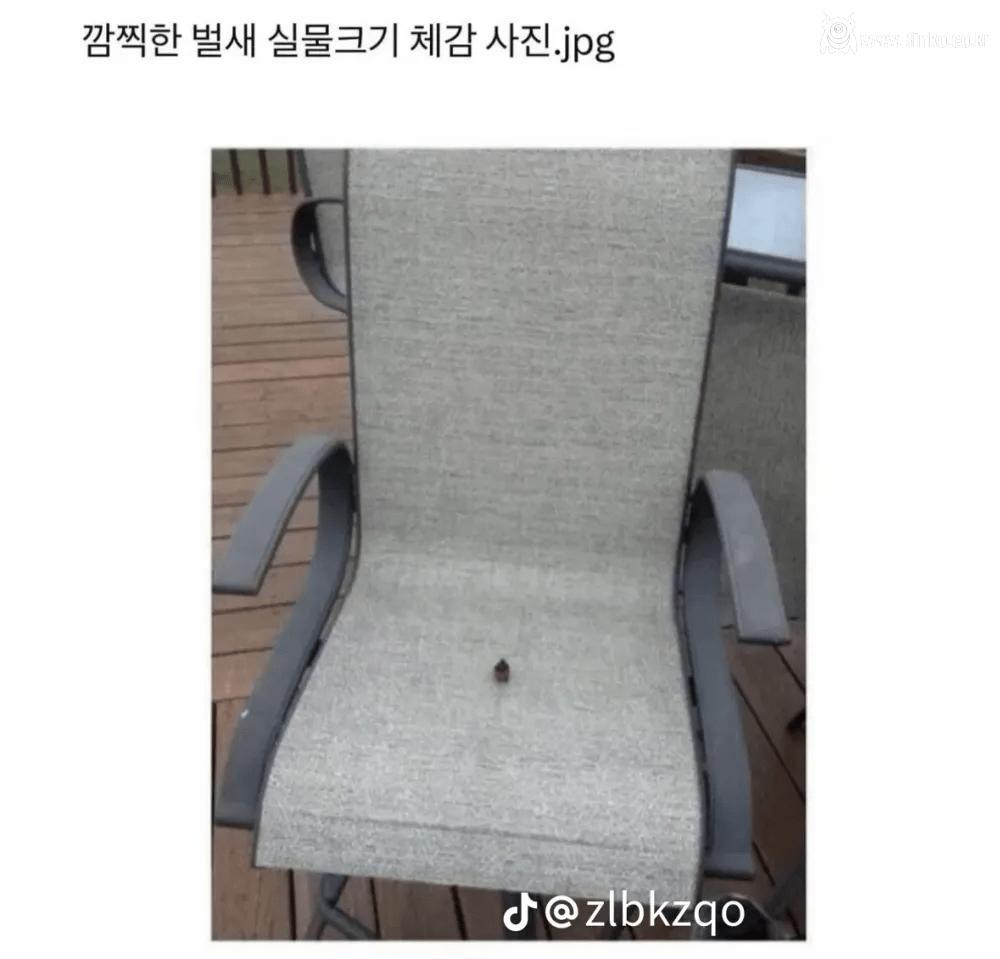 김짤_001.png.jpg
