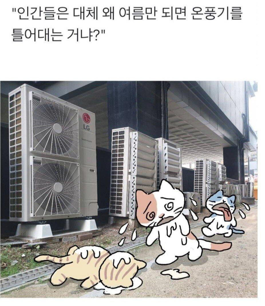 김짤닷컴_001.png.jpg