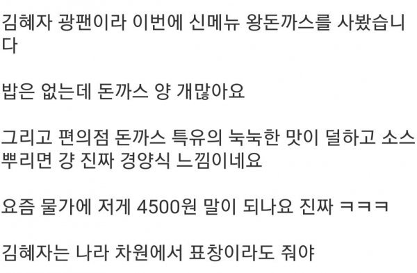 4,500원 김혜자 돈까스 도시락 실물 후기 .jpg