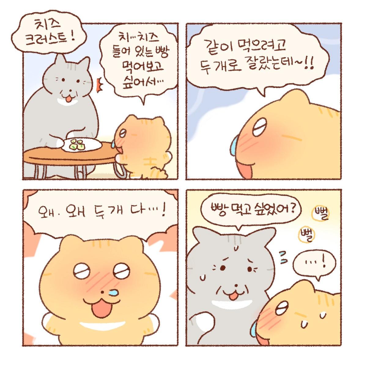 김짤닷컴_006.png.jpg
