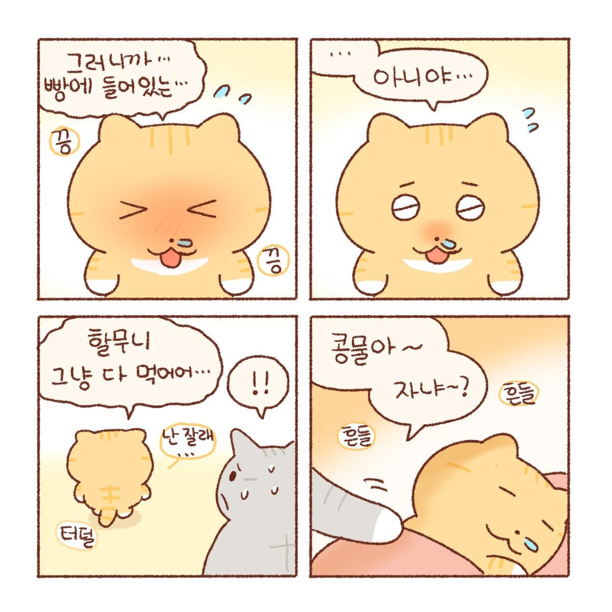 김짤닷컴_007.png.jpg