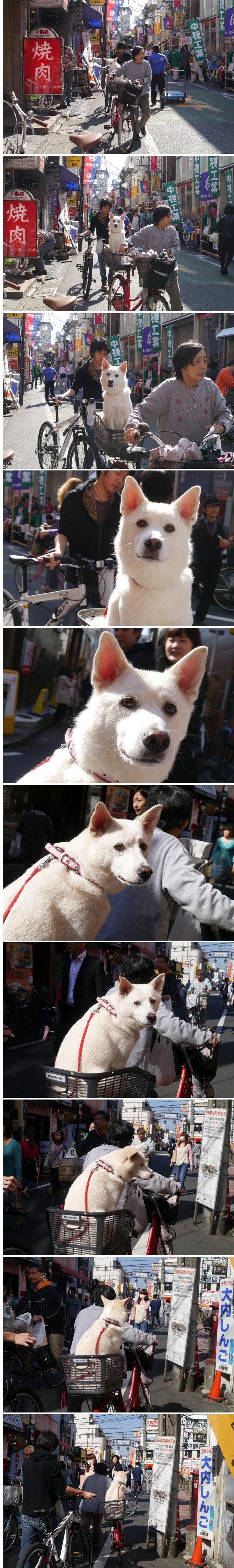 7124073127_486616_b5920ede6724111907d1e63f5b5bc3ba (1).jpg