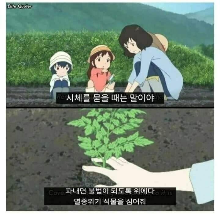 김짤닷컴_001.png.jpg