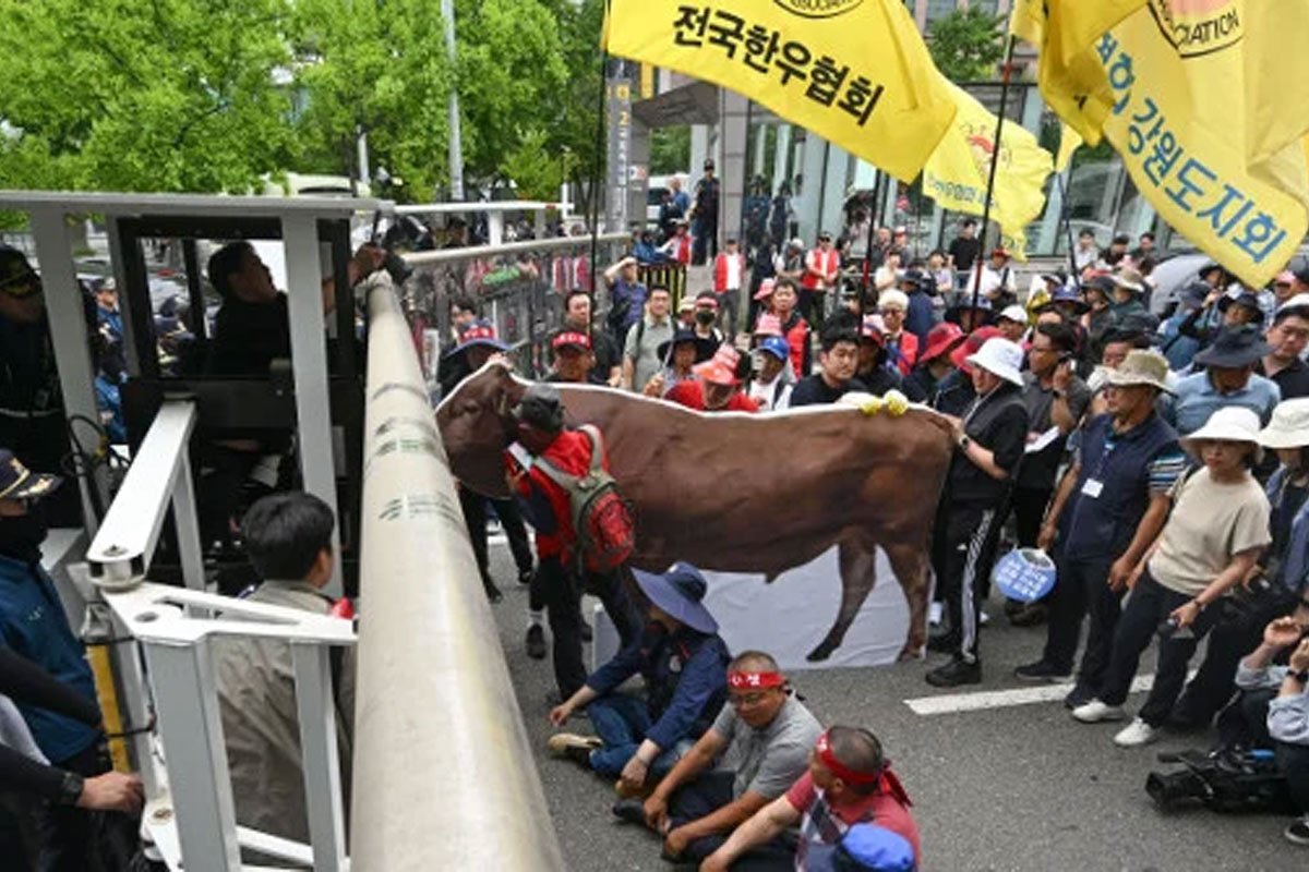 한우-9.jpg 기가 막히죠…원가 5천원짜리가 마트에서 4만원에 팔립니다