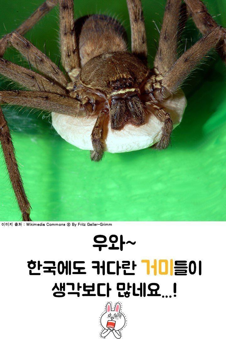 24post.co.kr_007.jpg