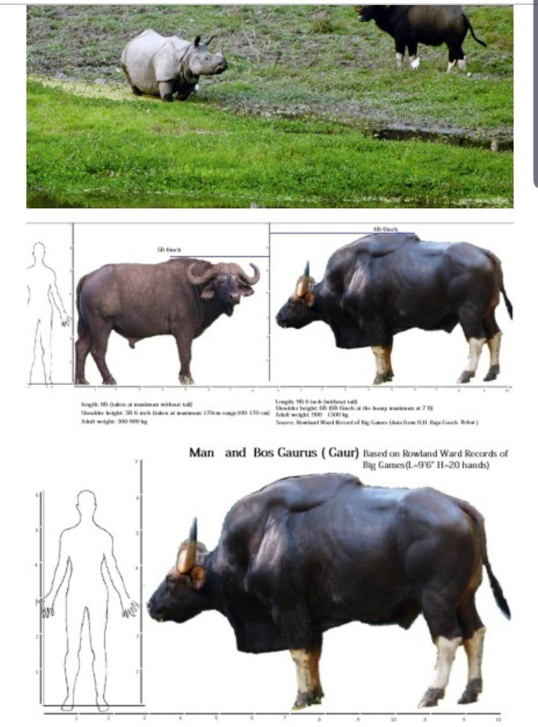 Screenshot_20200206-154447_Samsung Internet.jpg