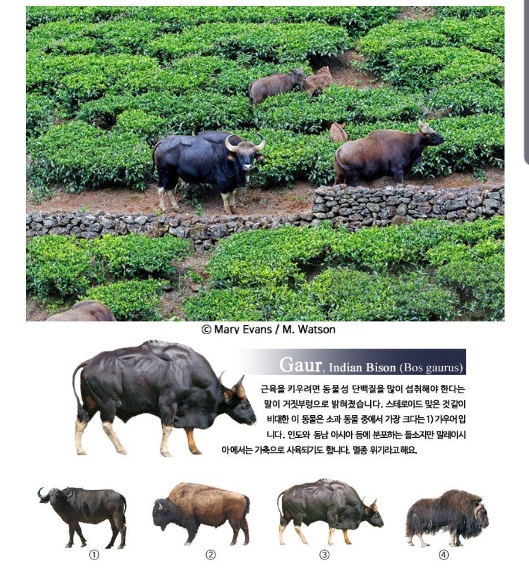 Screenshot_20200206-154616_Samsung Internet.jpg