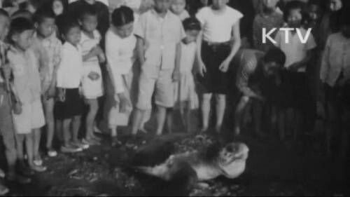 urlUploadImage (1).jpeg