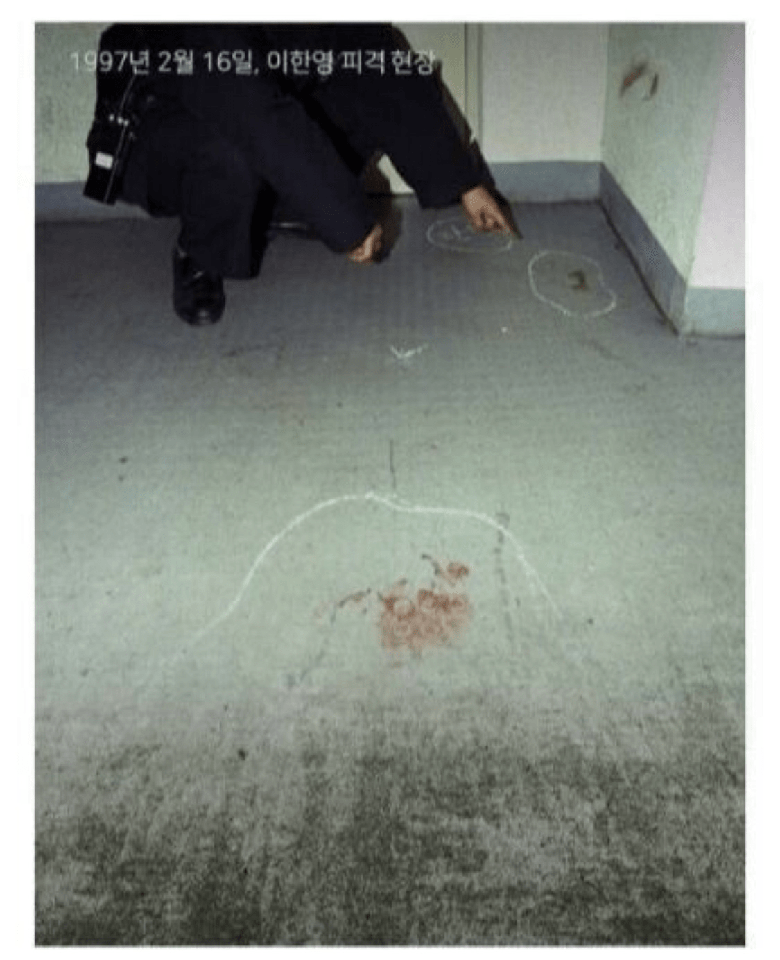 image.png 김씨 정권의 암살 작전
