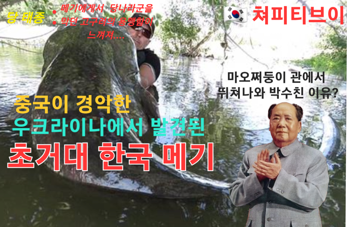 1655121247908.png 사람도 잡아먹는 괴물 메기