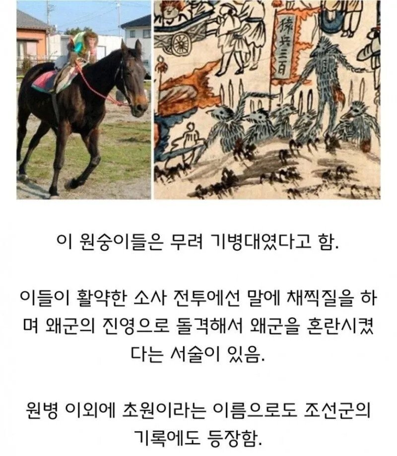 a43c9dec81d168a320de39e8d8eb3e727d3b5da4.webp.ren.jpg 임진왜란에 참전한 특이한 부대