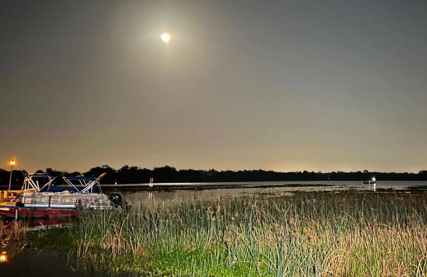 lakeseminole.jpeg 올해 다윈상 수상자들