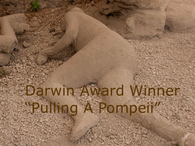 pompeii.jpeg 올해 다윈상 수상자들