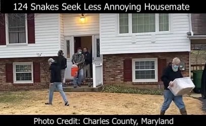 maryland-snakes.jpeg 올해 다윈상 수상자들
