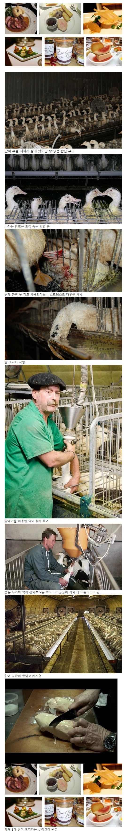 Screenshot 2023-05-14 at 13.07.03.JPG