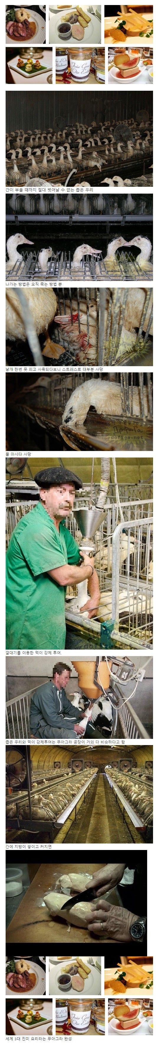 Screenshot 2023-05-19 at 13.40.40.JPG